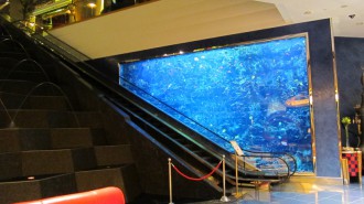 http://www.comfortablelife.asia/images/2011/07/02-Burj-Al-Arab-Lobbya-butler-Desk_002-330x185.jpg