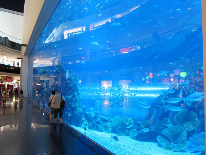 http://www.comfortablelife.asia/images/2011/07/20-DubaiAquarium_017-680x510.jpg