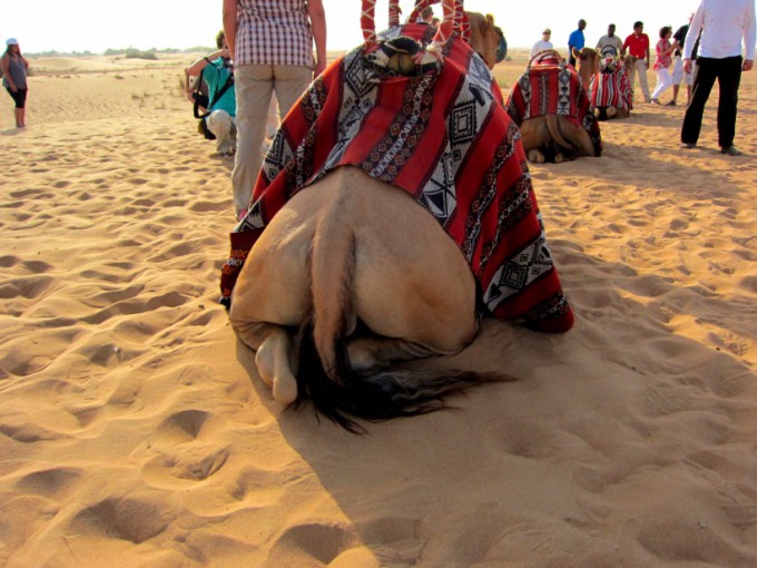 http://www.comfortablelife.asia/images/2011/08/08-Desert-Safari_002-680x510.jpg