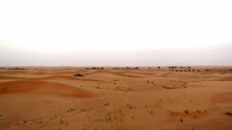 http://www.comfortablelife.asia/images/2011/08/08-Desert-Safari_013-330x185.jpg