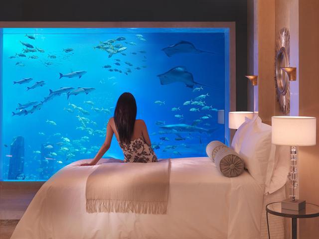 http://www.comfortablelife.asia/images/2012/04/Atlantis-the-Palm_Aquarium-View-Room.jpg