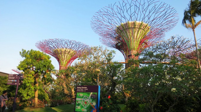 Gardens by the Bay_13