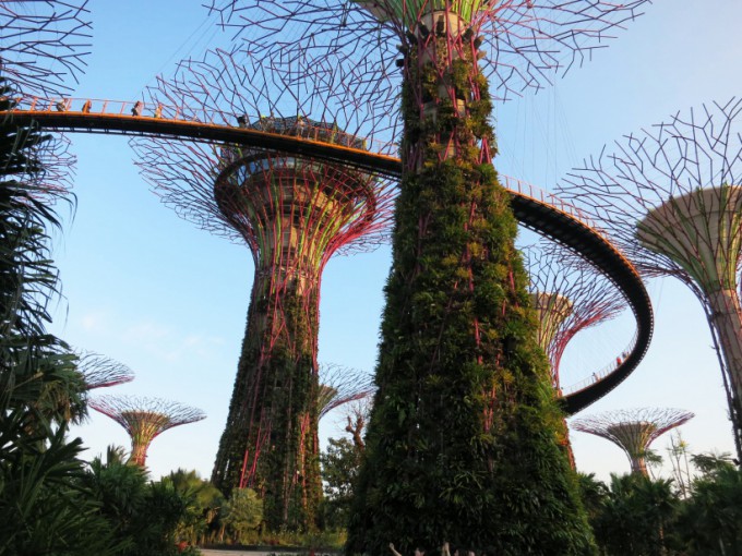 Gardens by the Bay_18