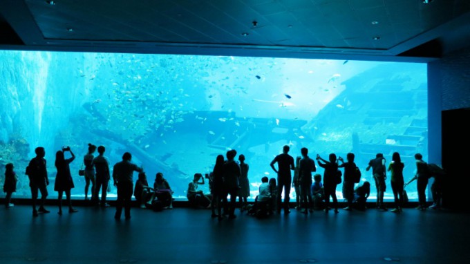 http://www.comfortablelife.asia/images/2014/11/SEA-Aquarium.2014-03-680x382.jpg