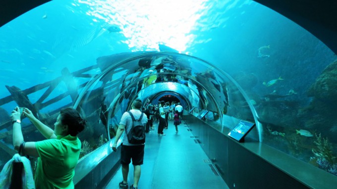 http://www.comfortablelife.asia/images/2014/11/SEA-Aquarium.2014-08-680x382.jpg