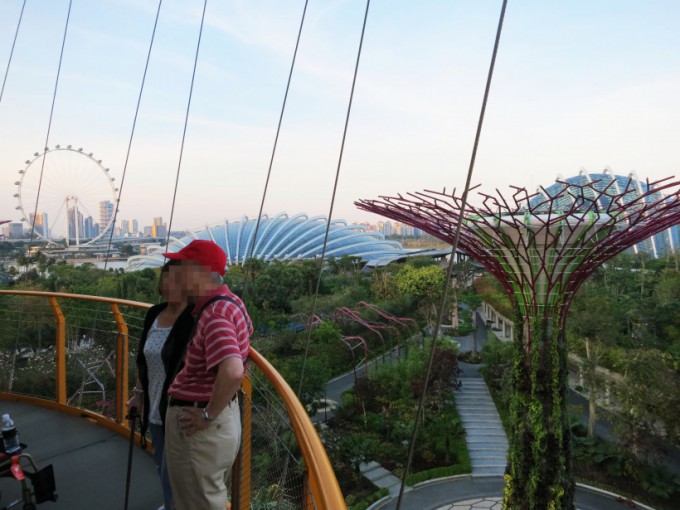 http://www.comfortablelife.asia/images/2014/12/Gardens-by-the-Bay-23-680x510.jpg