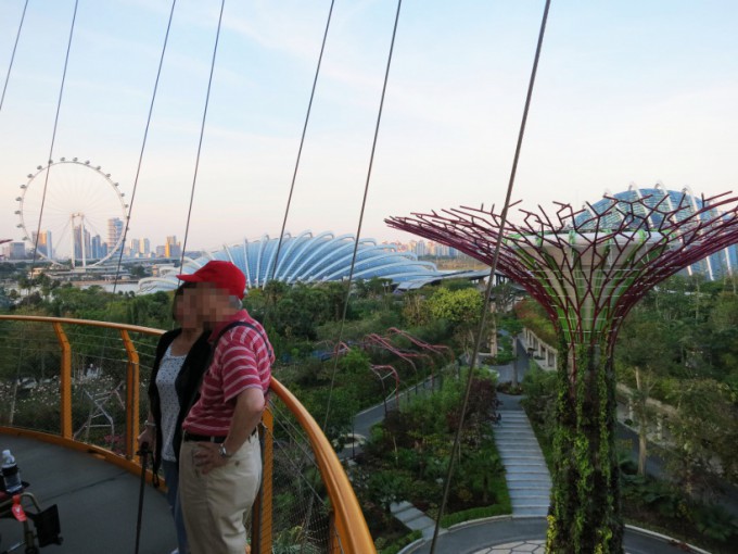 Gardens by the Bay_23