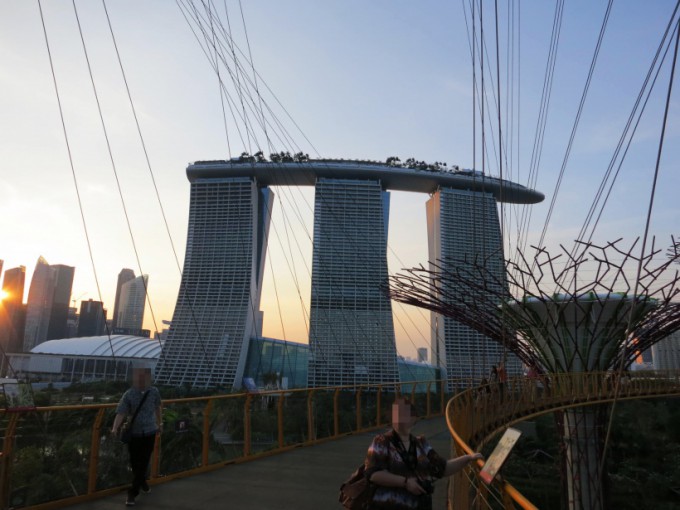 Gardens by the Bay_34